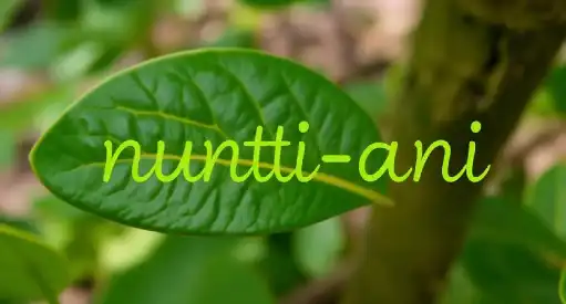 nutti-ani